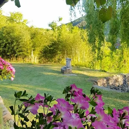 Brvnara Aleksic Kraljevo